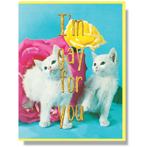 Gay For You Kitten Card