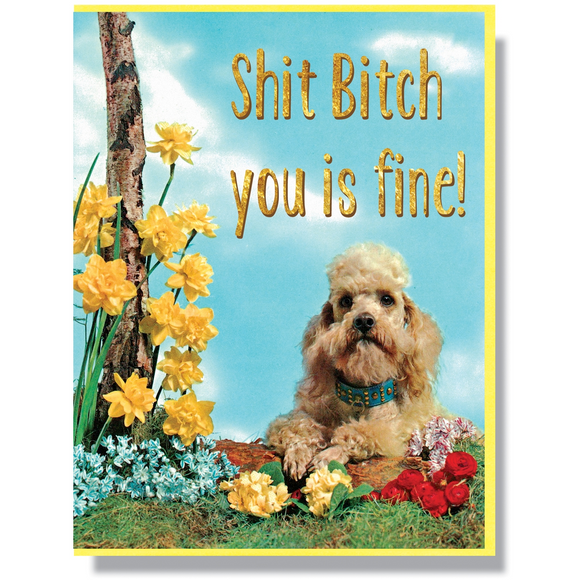 'Shit Bitch, You Is Fine' Card