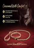 Ardor Silicone Collar & Leash