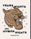 'Trans Rights are Human Rights' Tee V. 2 - Cream