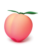 ROMP Pink Peach Clitoral Air Pulse Stimulator