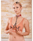 Saffron Collar with Chain Nipple Clamps