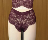 Pinot Stretch Lace Hipster