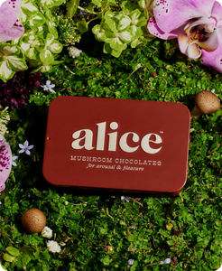 Happy Ending - Mushroom Chocolate For Arousal by Alice Mushrooms