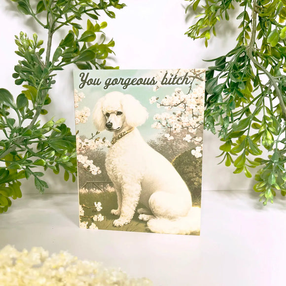 'You Gorgeous Bitch' Card