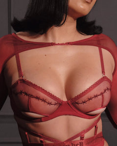 Poisoned Bra and Mesh Sleeves in Red