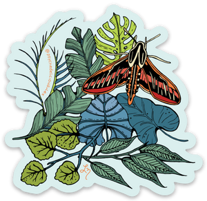 Botanical Moth - Sticker