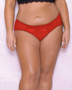 Red Lace & Mesh Hipster Panty