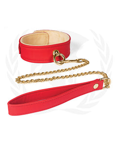 Plush Vegan Collar & Chained Leash