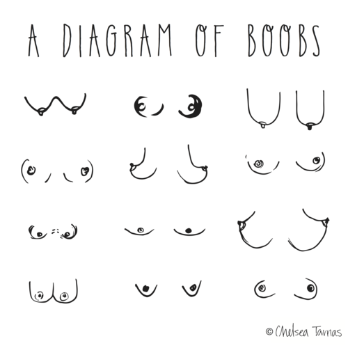 Diagram of Boobs Illustrated Print