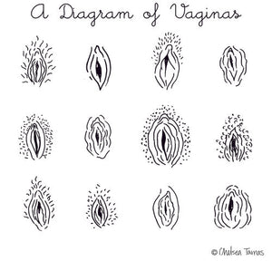 Diagram of Vulvas Illustrated Print